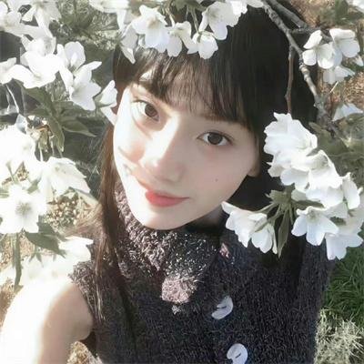 半妖的夜叉姬第二季